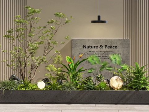  現(xiàn)代室內(nèi)景觀 景觀造景 庭院景觀 植物堆 綠植組合 庭院小品3d模型 