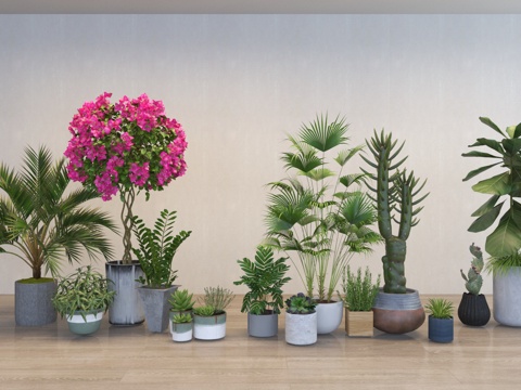  现代植物盆栽盆景组合3d模型 