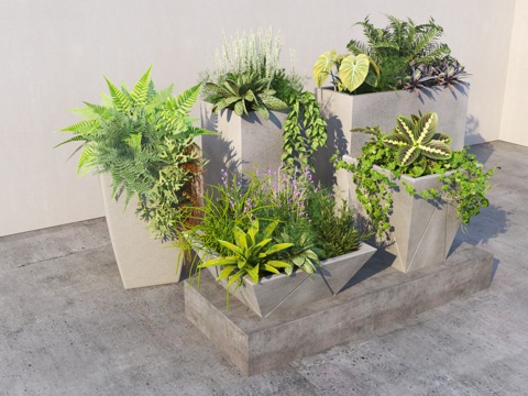  现代植物盆栽花钵3d模型 