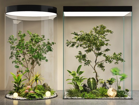  現(xiàn)代室內(nèi)景觀 景觀造景 景觀樹 植物堆 玻璃柜綠植物造景3d模型 