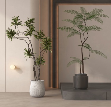  盆栽 盆景 绿植 植物3d模型 