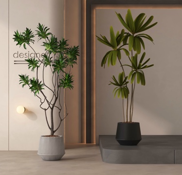  盆栽 盆景 绿植 植物3d模型 