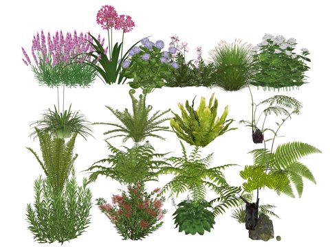  庭院植物花草 草花植物 小院景观地被植物 花箱花草su模型 