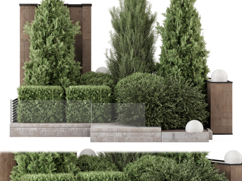  现代意式庭院绿植 景观树3d模型 