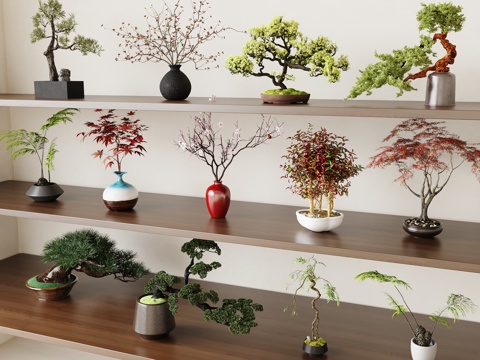  新中式盆景 宋氏盆栽 迎客松 罗汉松3d模型 