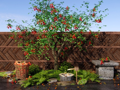  乔木 樱桃树 庭院果树 枣树乔木 车厘子樱桃 园林造景树su模型 