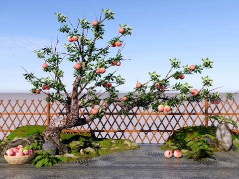  乔木 庭院桃子树 景观造型桃树 农业种植果树 桃子采摘 园林su模型 