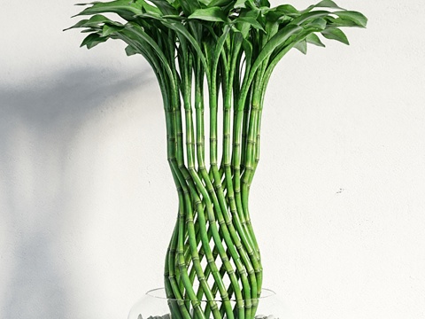  现代花瓶花艺  绿植盆栽3d模型 