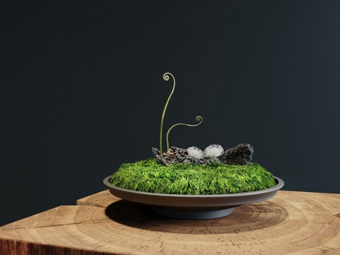  现代苔藓盆景 苔藓 盆景3d模型 