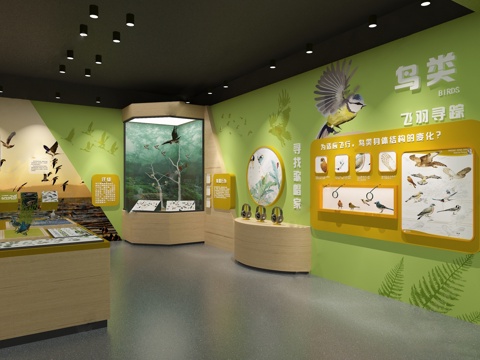  动物展厅 昆虫展厅 自然馆 生物su模型 