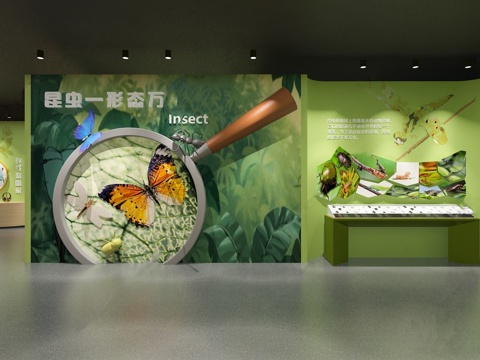 动物展厅 昆虫展厅  自然馆  生物展厅  蝴蝶展厅su模型 