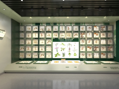  现代 展厅 药材展厅 植物标本su模型 