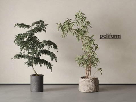  现代植物 盆栽 绿植 新中式盆栽3d模型 