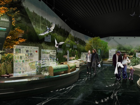  现代生态展厅  鸟类文化展厅 湿地生态展厅su模型 