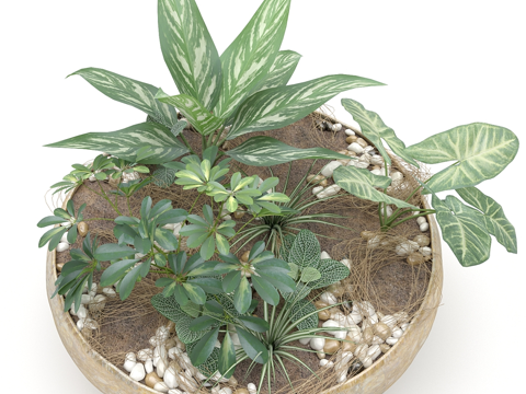  新中式绿植盆景3d模型 