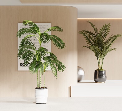  现代绿植盆栽盆景3d模型 