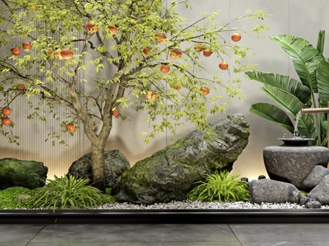  現(xiàn)代室內(nèi)植物景觀 柿子樹 果樹 景觀石頭 庭院小品 水景3d模型 