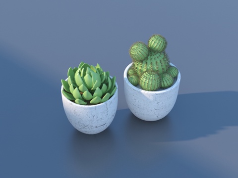  花盆 盆栽 绿植 植物3d模型 