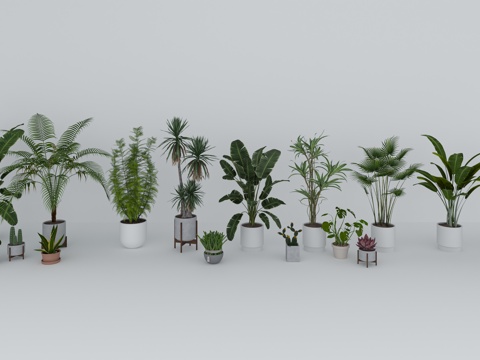  盆栽  花盆3d模型 