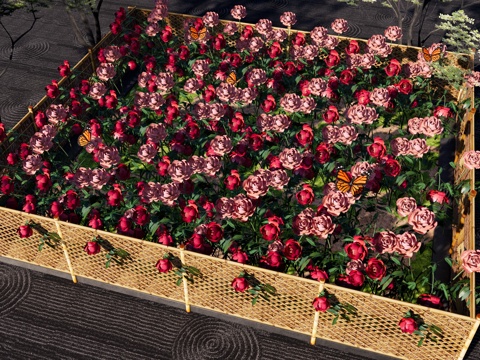  现代玫瑰花花田 玫瑰种植 月季 蔷薇 竹篱笆 花田种植su模型 