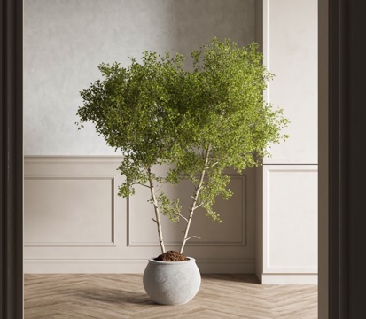  侘寂植物盆栽 绿植盆栽3d模型 