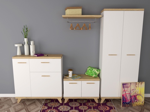  北欧鞋柜组合3d模型 