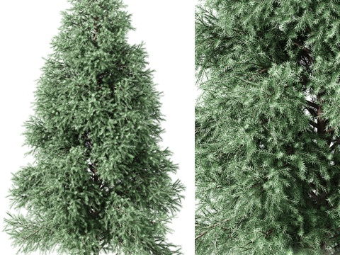  盆景盆栽3d模型 