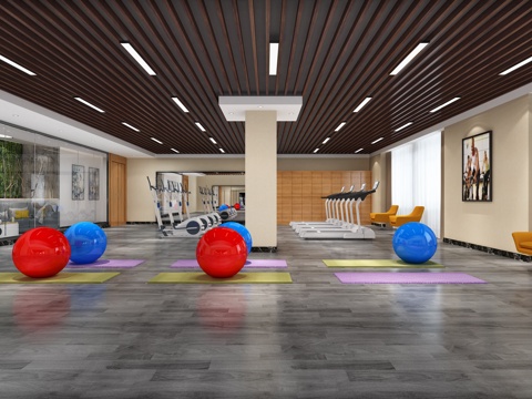  现代健身房瑜伽室3d模型 