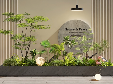  現(xiàn)代室內(nèi)景觀 景觀造景 庭院景觀 植物堆 植物組合 花壇花池3d模型 