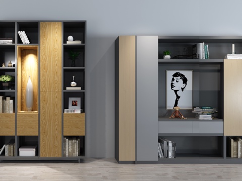  现代北欧风格书柜组合3d模型 