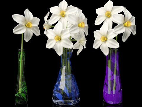  现代花瓶花卉 玻璃花瓶插花 花卉组合su模型 