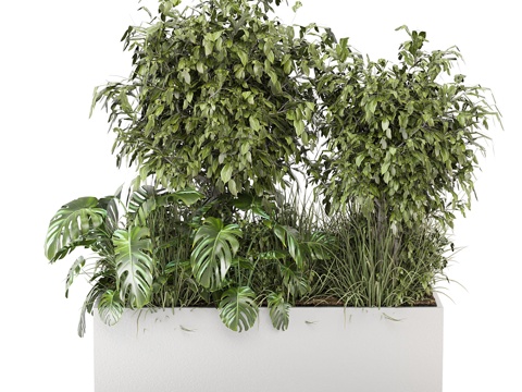  花瓶花卉3d模型 