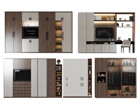  现代衣柜 装饰柜 书柜 柜门 衣柜门 电视柜 衣柜电视柜3d模型 