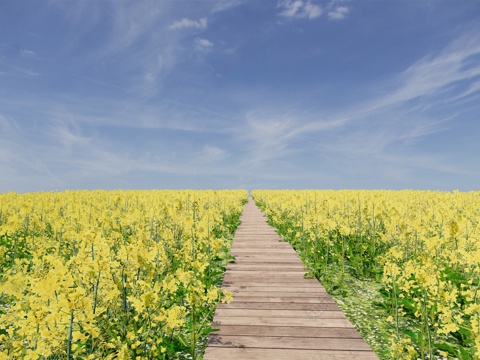  现代花草 油菜花菜地 花海景观植物 农业庄园景观su模型 