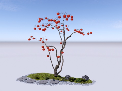  现代 乔木 景观树 果树 柿子树 庭院树 落叶乔木su模型 