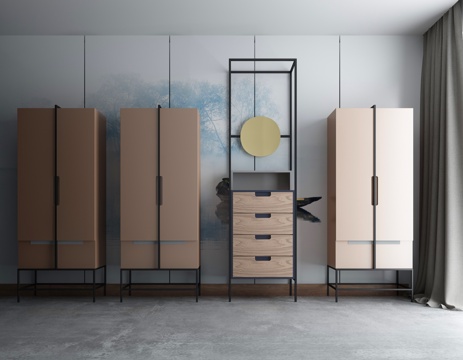  新中式衣柜高柜 装饰柜 玄关柜组合3d模型 