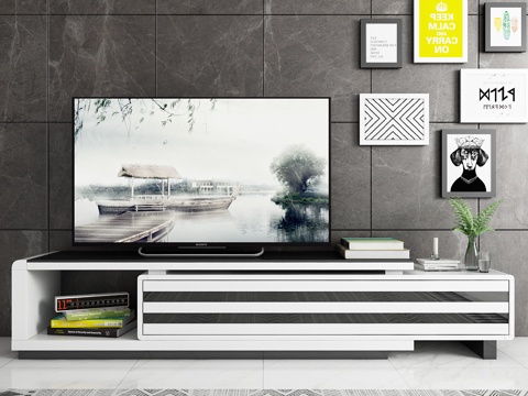  现代电视柜 电视 相框 书籍 饰品 地毯模型3d模型 