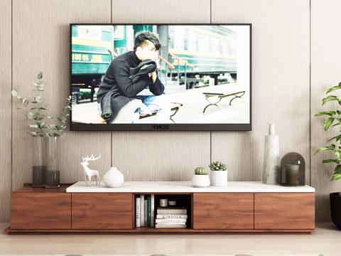  新中式电视柜 电视 绿植 书籍 饰品 地毯模型3d模型 