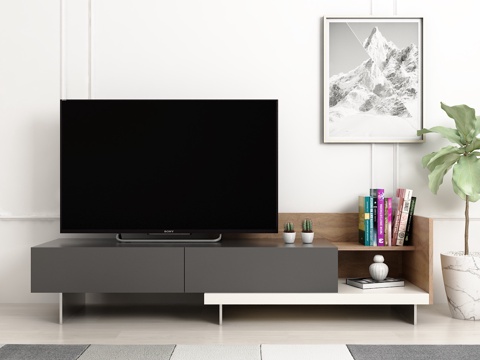  现代电视柜 绿植 挂画 饰品摆件 地毯模型3d模型 