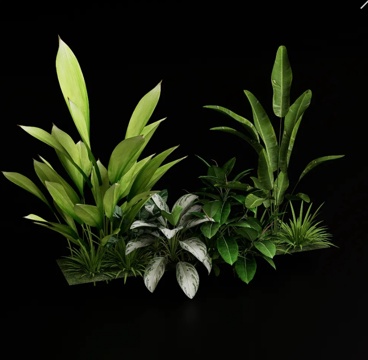  网红花草组合su模型 