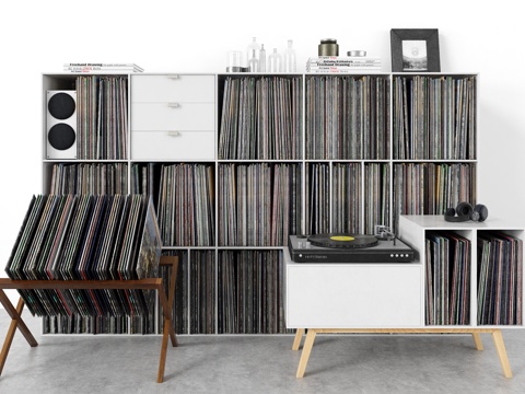  现代置物柜 墙柜 边柜 书柜 黑胶唱片架3d模型 