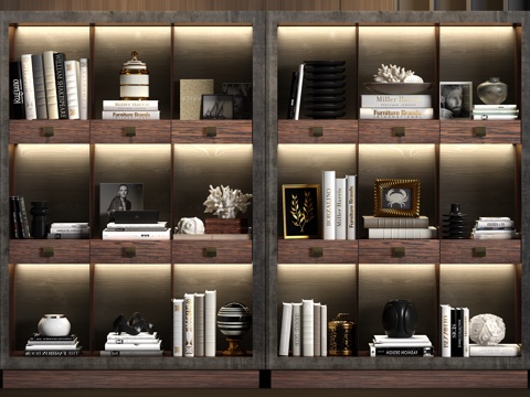  现代实木装饰书柜书籍饰品组合3d模型 
