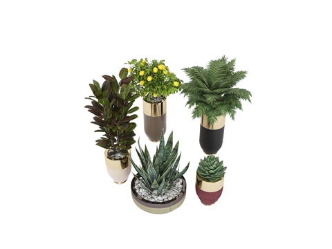  LONGHI 植物盆栽3d模型 