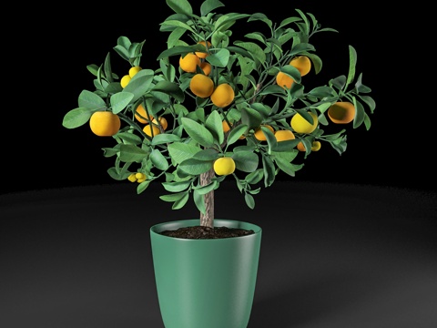 现代盆栽盆景  室内盆栽  橘子盆栽su模型