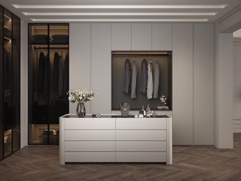 现代衣帽间珠宝柜 插花珠宝首饰摆件 玻璃衣柜男士衣物 深色鱼su模型