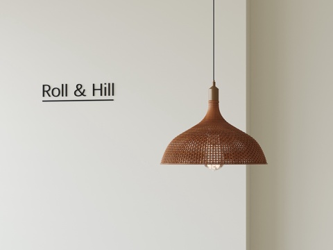 侘寂风藤编吊灯su模型