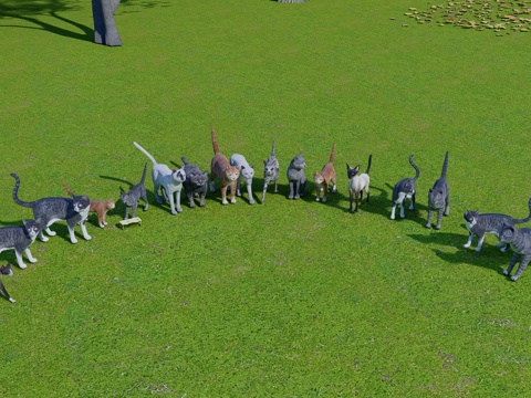 猫 宠物猫 猫咪组合su模型