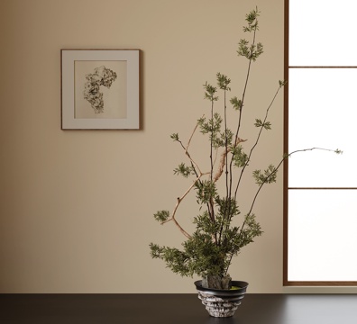 现代盆栽盆景 植物摆件 挂画su模型