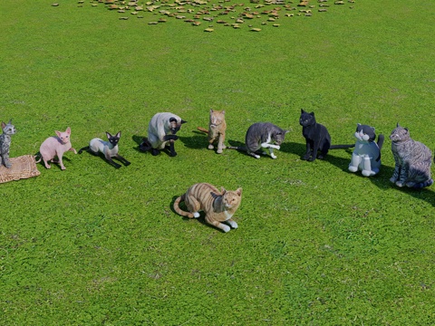 猫 宠物猫 猫咪组合su模型