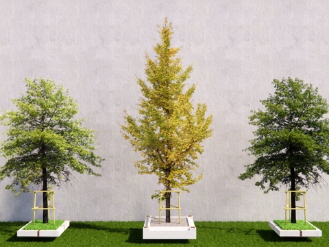 树池乔木 行道树 造型树su模型